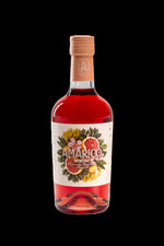 Load image into Gallery viewer, Amàrico Rosso, Non-Alcoholic Aperitif
