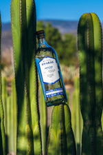 Load image into Gallery viewer, Mezcal Amaras Americana
