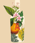 Load image into Gallery viewer, Amàrico Americano, Non-Alcoholic Aperitif
